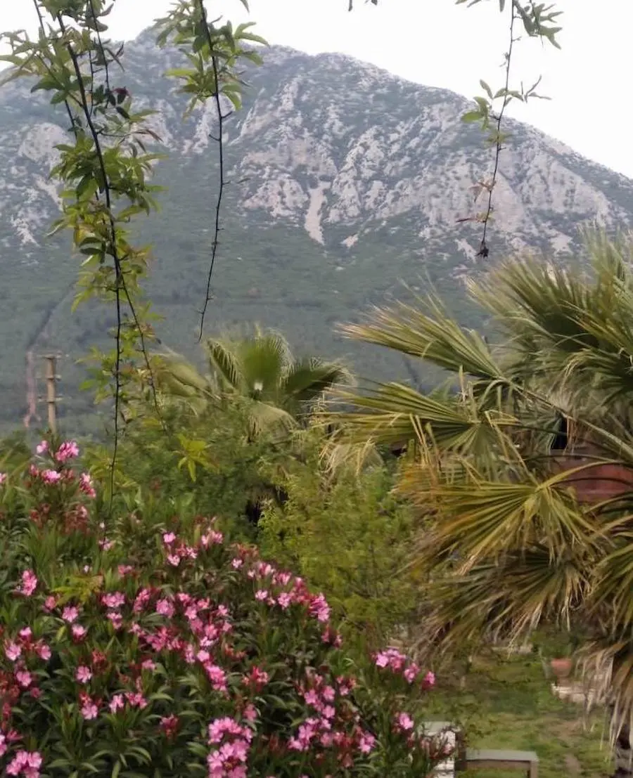 Uzumlu in Fethiye